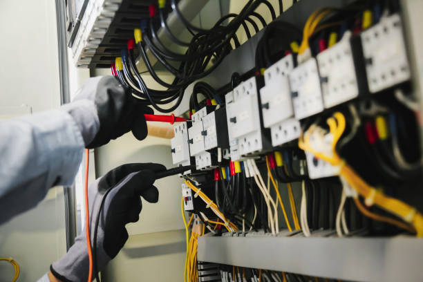 Best Electrical Panel Upgrades  in Farmer City, IL